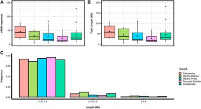 Genome-wide assessment of the population structure and genetic diversity of four Portuguese native sheep breeds